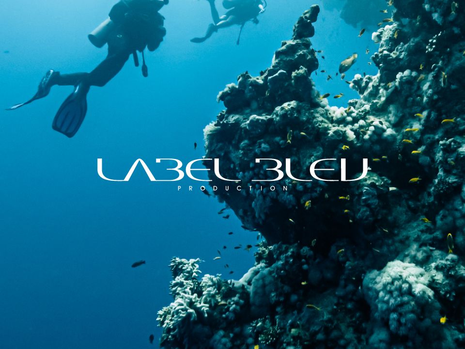 Label Bleu Production —  Logo design